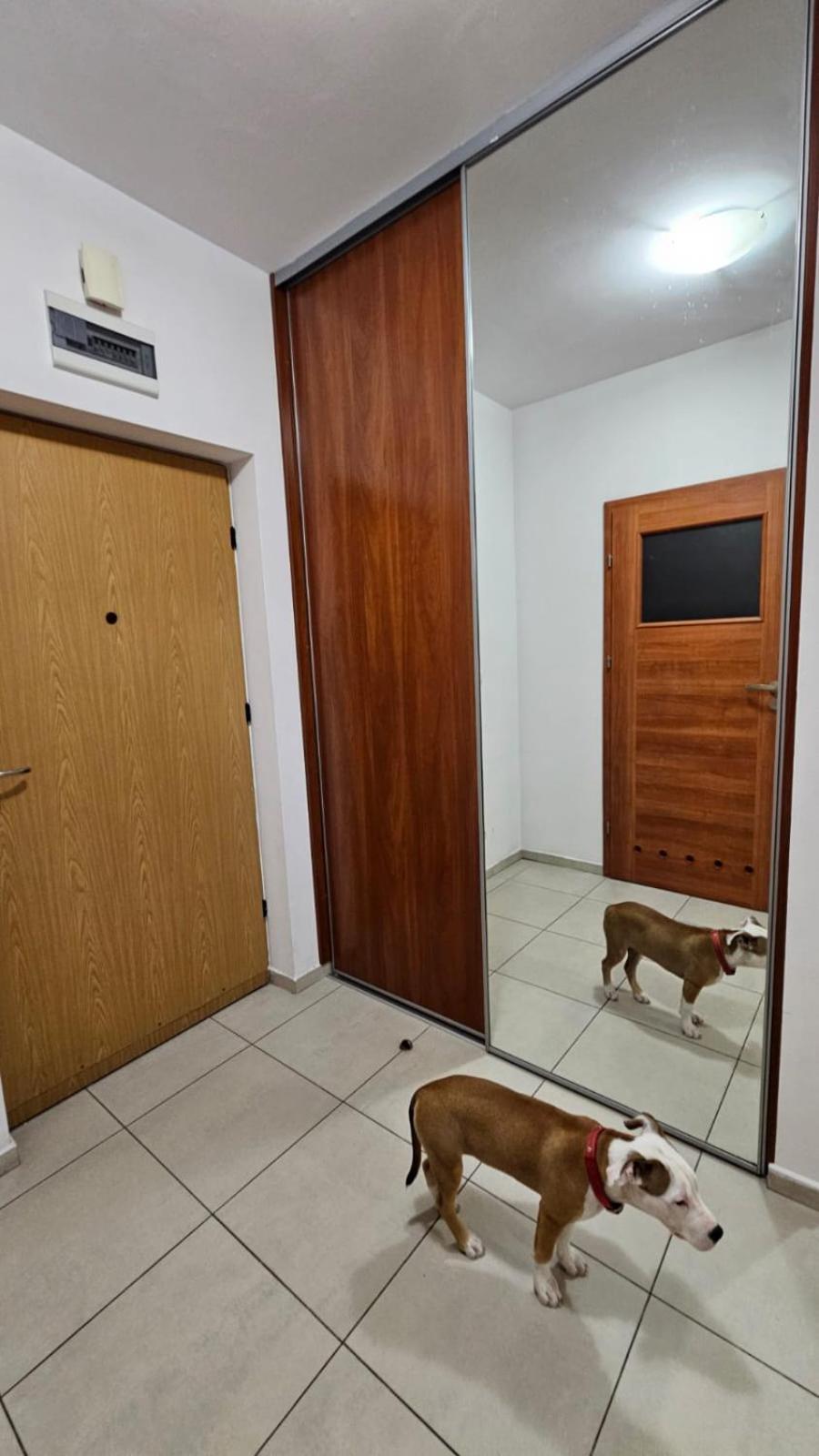 Apartament Lipinskiego 克拉科夫 外观 照片