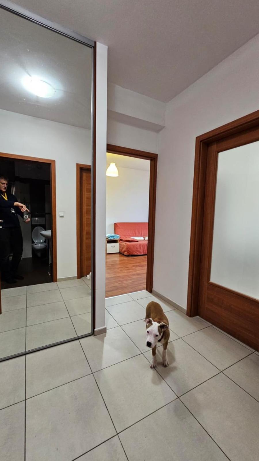 Apartament Lipinskiego 克拉科夫 外观 照片