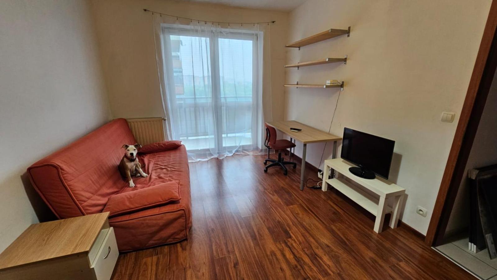 Apartament Lipinskiego 克拉科夫 外观 照片