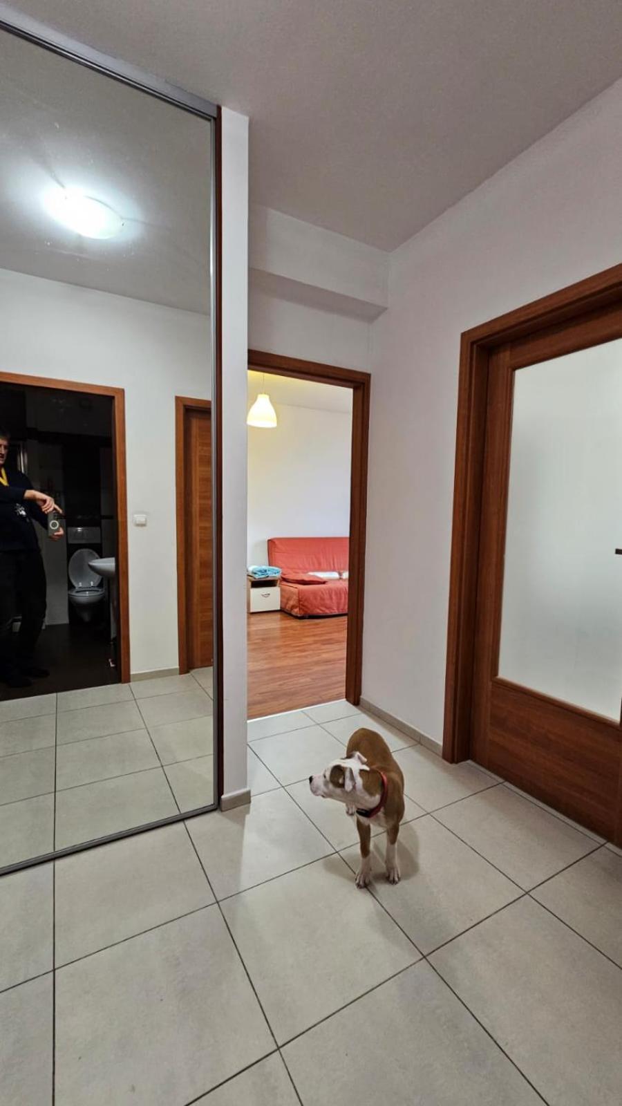Apartament Lipinskiego 克拉科夫 外观 照片