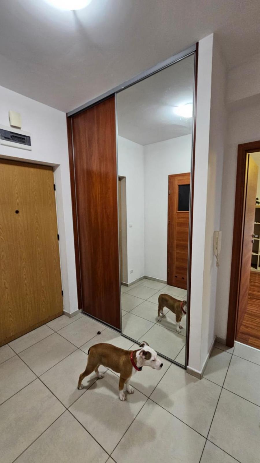 Apartament Lipinskiego 克拉科夫 外观 照片