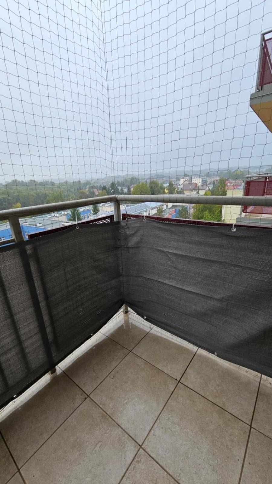 Apartament Lipinskiego 克拉科夫 外观 照片
