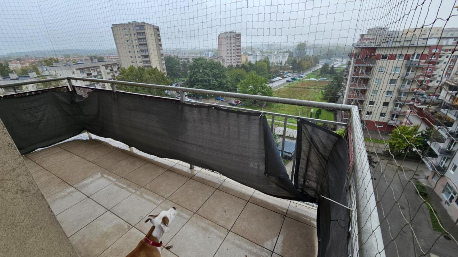 Apartament Lipinskiego 克拉科夫 外观 照片