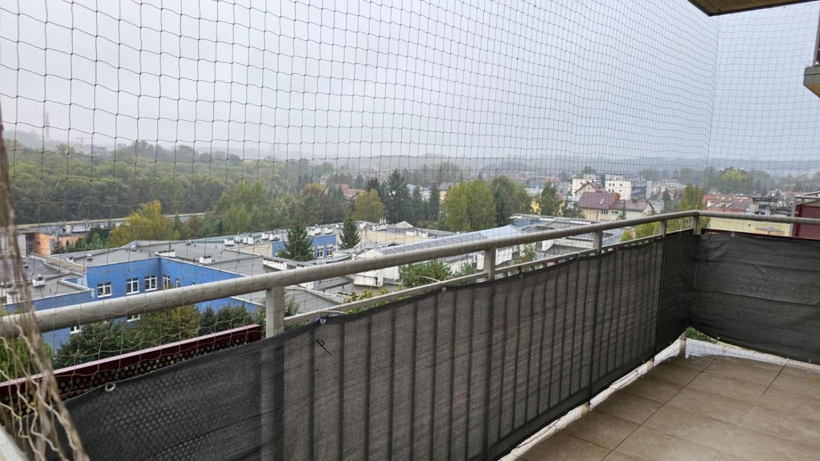 Apartament Lipinskiego 克拉科夫 外观 照片