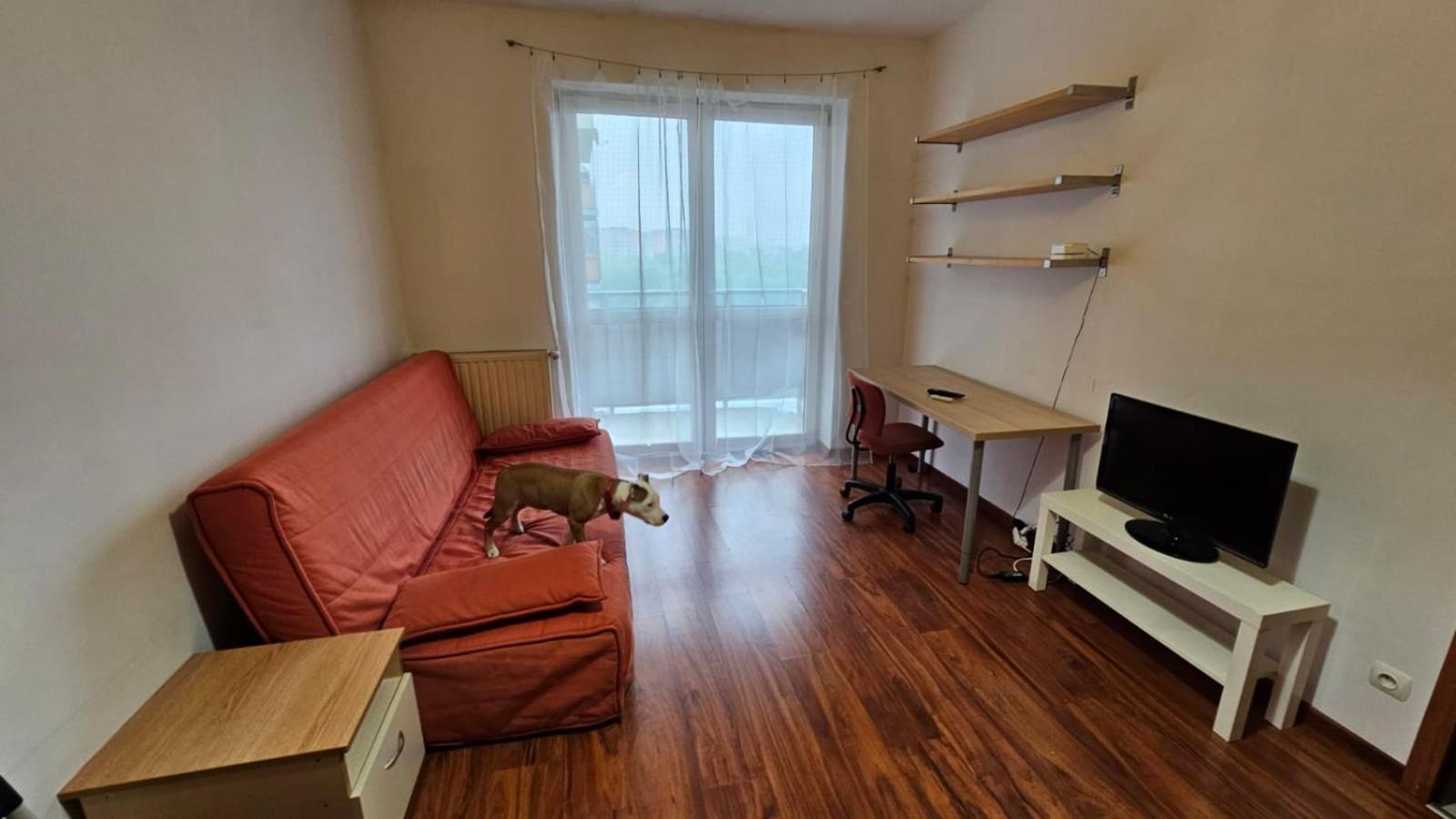Apartament Lipinskiego 克拉科夫 外观 照片